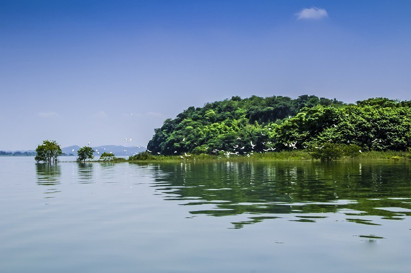 成都-九牟-峨樂-都青 全景特惠進店8日游